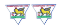1997/98 Premier League Champion Patch*2