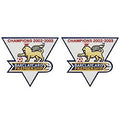 2002/03 Premier League Champion Patch*2
